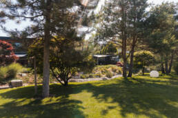 eder-gartenarchitektur-rasen-baeume-bepflanzung