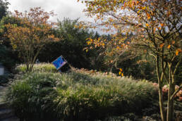 Garten Eder Bepflanzung