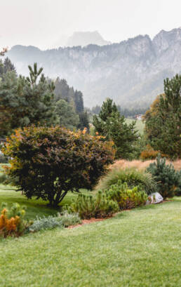 Garten Eder Bepflanzung