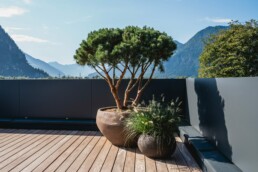 eder-gartenarchitektur-troege-toepfe-bepflanzung