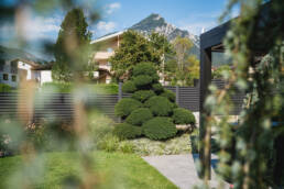 eder-gartenarchitektur-formschnittgehoelz-bonsai