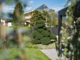 eder-gartenarchitektur-formschnittgehoelz-bonsai