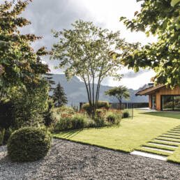 eder-gartenarchitektur-gartengestaltung-garten-trittplatten-baum