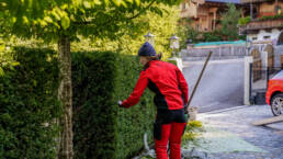 eder-gartenarchitektur-gartengestaltung-gartenpflege-1.jpg