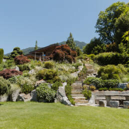 eder-gartenarchitektur-gartengestaltung-bepflanzung-8