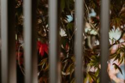 eder-gartenarchitektur-bepflanzung