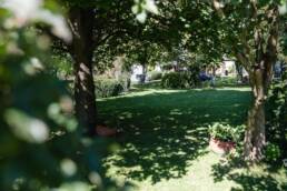 eder-gartenarchitektur-rasen-schatten-baeume