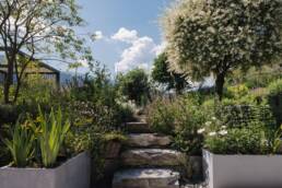 eder-gartenarchitektur-stein-stiege-bepflanzung